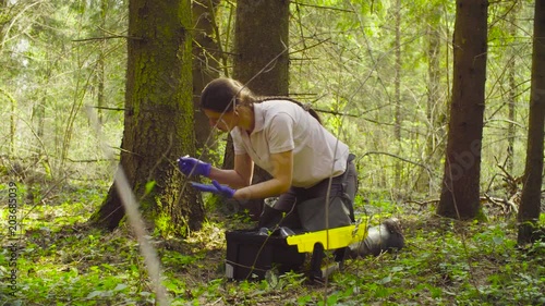 Woman scientist ecologist in the forest taking samples of the moss with tweezers and putting them in a petri dish.