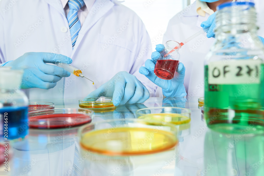 Talented Researchers Concentrated on Work Talented Researchers Concentrated on Work