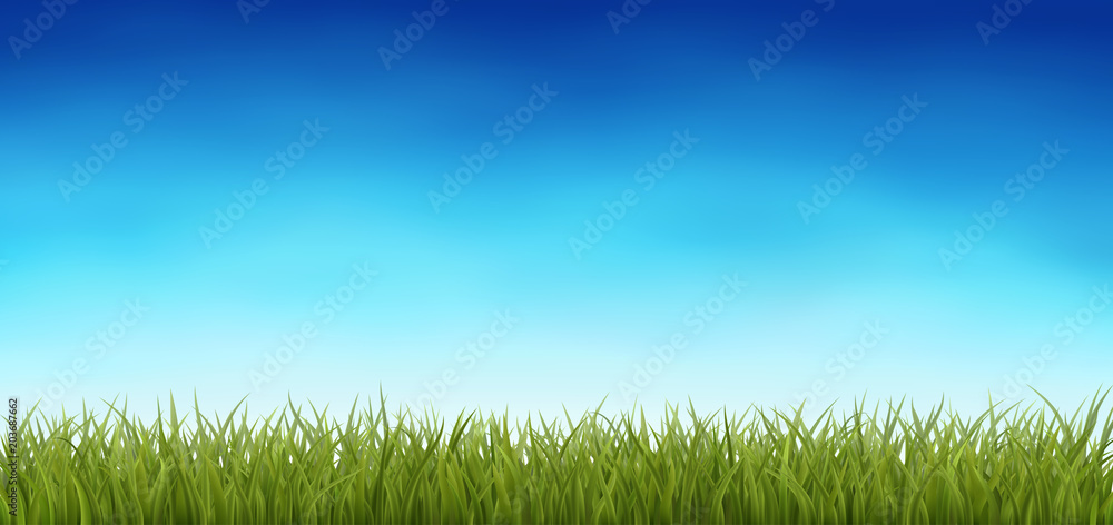 Fototapeta premium Background with Green Grass