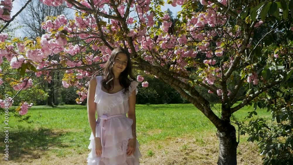 young sexy woman standing in pink dress next to sakura young sexy woman standing in pink dress next to sakura