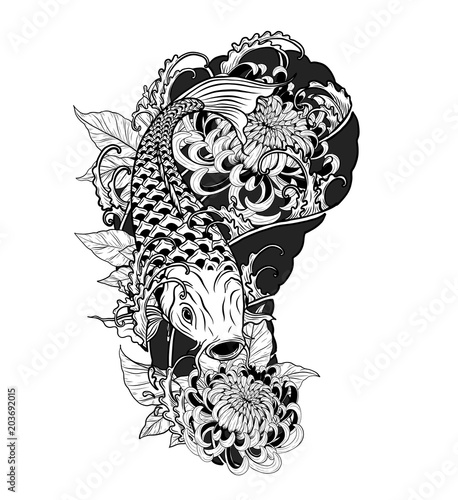 Carp fish and chrysanthemum tattoo by hand drawing.Tattoo art highly detailed in line art style.