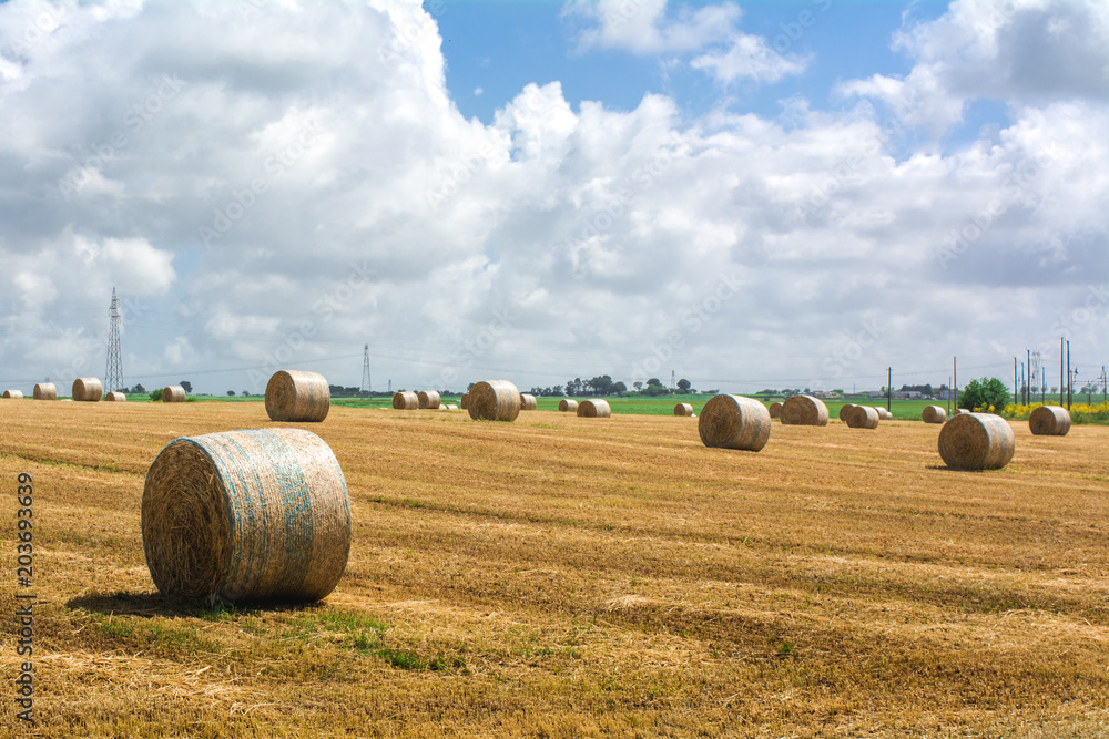 Horizontal View of a Grain Field with some Bales of Hay on Partially Cloudy Blue Sky Background