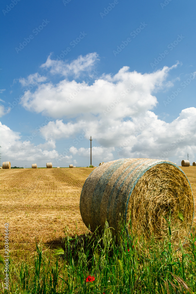 Vertical View of a Grain Field with some Bales of Hay on Partially Cloudy Blue Sky Background. San Basilio, South of Italy