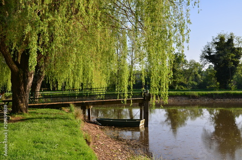SAULE PLEUREUR ET BARQUE ÉTANG DE LALINDE  DORDOGNE FRANCE 1