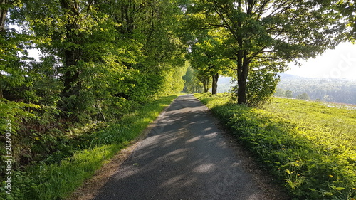 Gersfeld, Rhön und Flieder