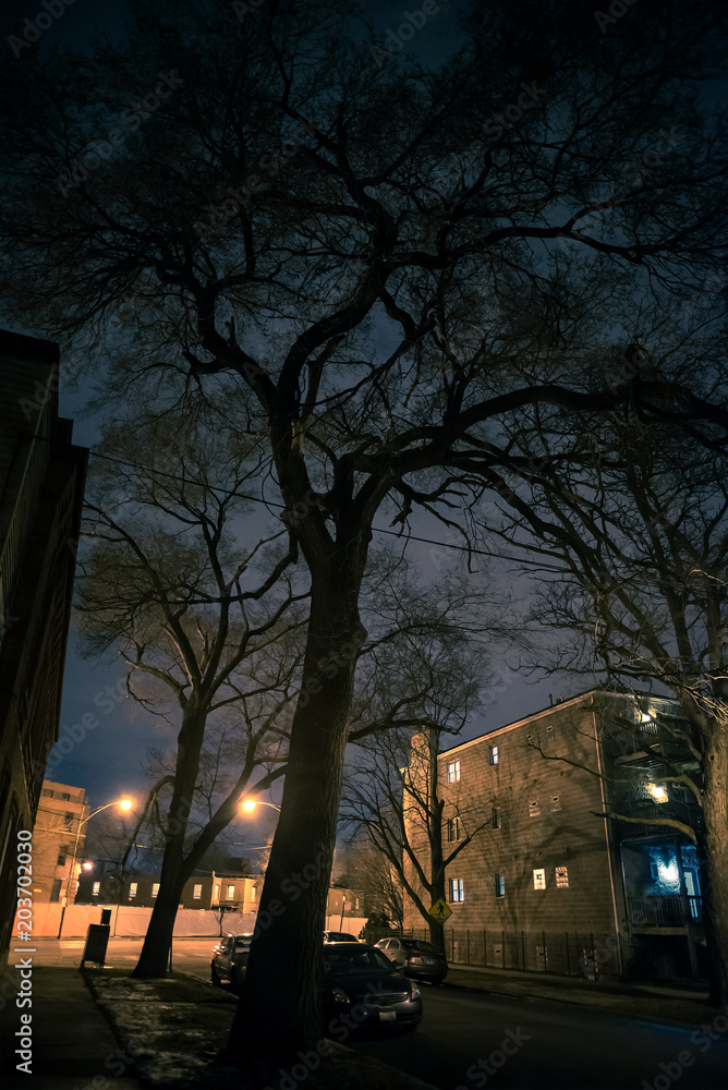 Dark and gritty street scenery with big trees and buildings at night Dark and gritty street scenery with big trees and buildings at night