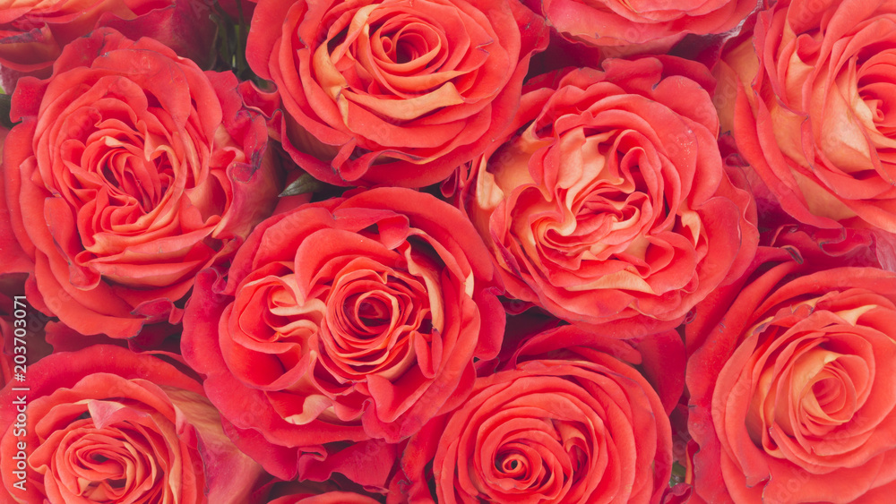 background of red roses background of red roses