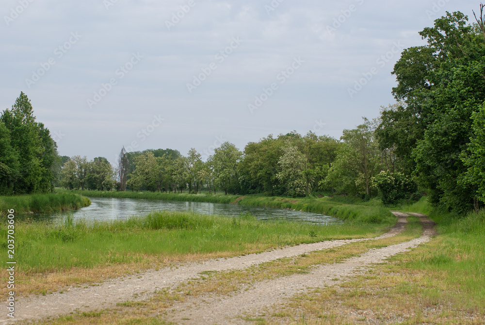 canale d'acqua corre attraverso la campagna canale d'acqua corre attraverso la campagna