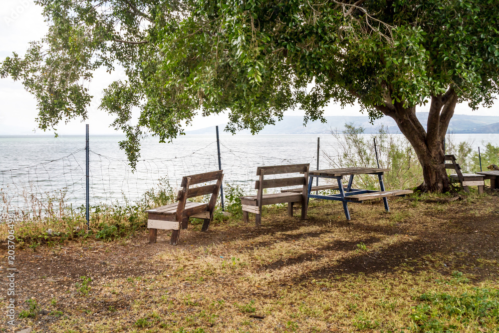 Benches under a tree overlooking the Sea of Galilee, Lake Tiberias, Israel.