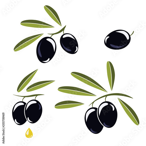 Icon of olives, Branch with black olives and leaves to decorate the labels of olive oil or cream isolated on white background.