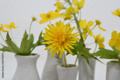 Fototapeta Naklejka Na Ścianę i Meble -  gelbe Wiesenblumen in styler Vasen Kombination