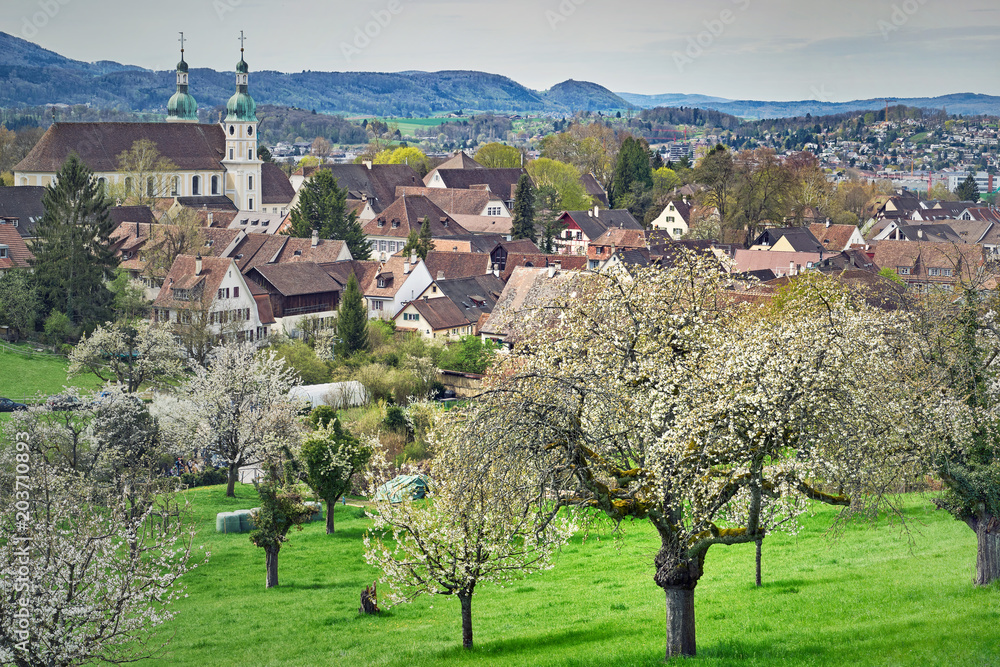 Das Dorf Arlesheim mit blühenden Kirschbäumen 