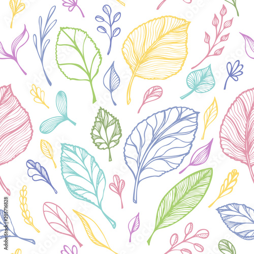 Seamless pattern from Hand draw structure of leaves colorful on white in line art for design flyer banner or for decoration package of tea or cosmetic or perfume or for design of botanical theme