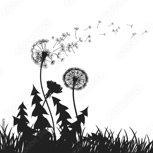 Abstract Dandelions dandelion with flying seeds – for stock vector
