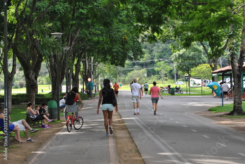 Wallpaper Mural curitiba - pr Torontodigital.ca