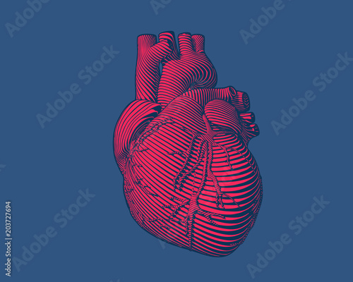 Engraving red human heart modern style on blue BG