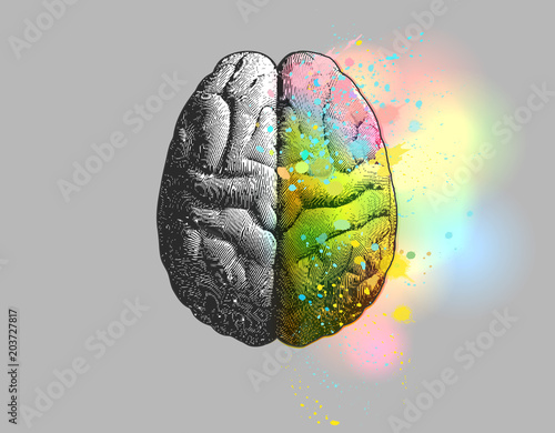 Right brain fuction present isolated on gray BG photo