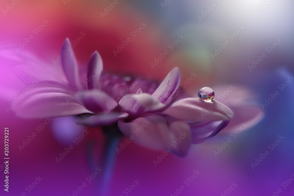 Abstract macro photo with water drops. Tranquil abstract closeup art photography. Artistic Background for desktop. Pastel Colors.Transparent and clear water beads.Creative Art.Magic Wallpaper.