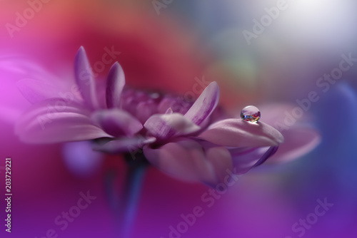 Abstract macro photo with water drops. Tranquil abstract closeup art photography. Artistic Background for desktop. Pastel Colors.Transparent and clear water beads.Creative Art.Magic Wallpaper.
