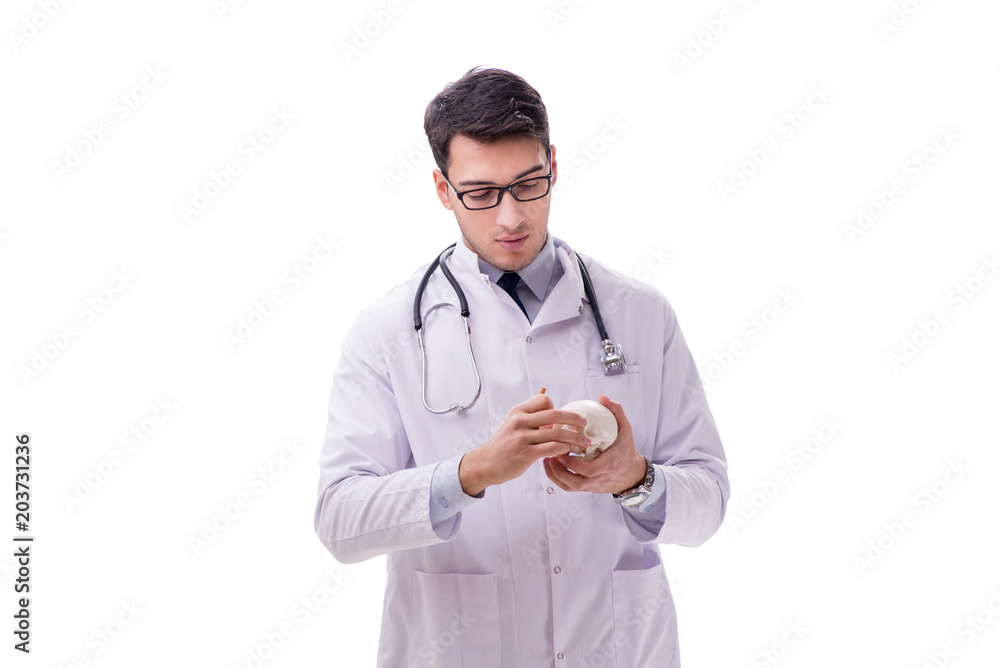 Yong male doctor with skeleton isolated on white Yong male doctor with skeleton isolated on white