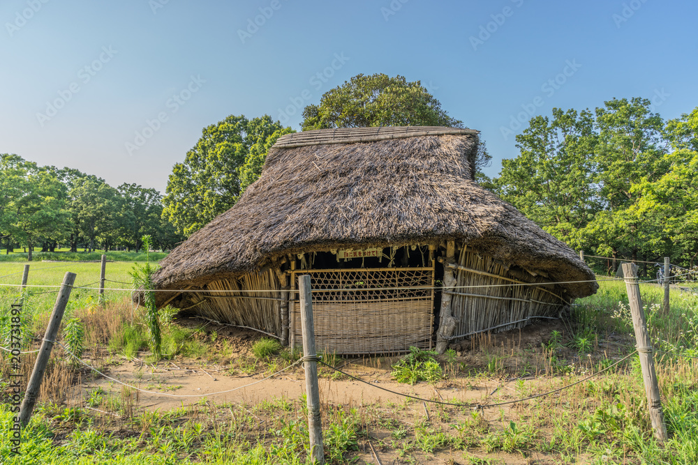 夏の加曽利貝塚の風景 夏の加曽利貝塚の風景