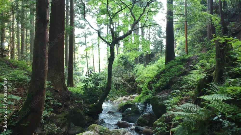 A beautiful landscape in Japan A beautiful landscape in Japan
