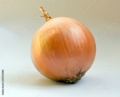 onions  one large yellow onion