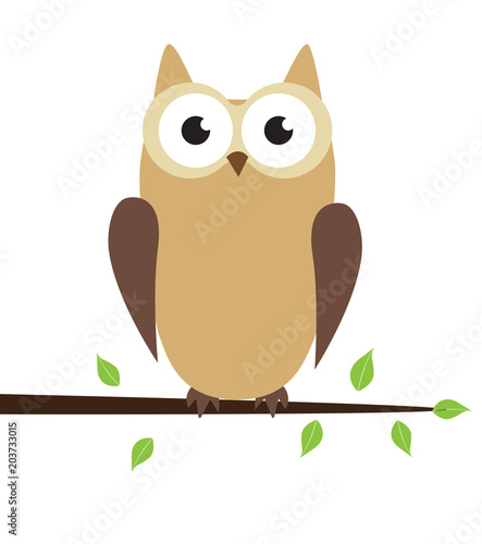 Vector Owl Bird