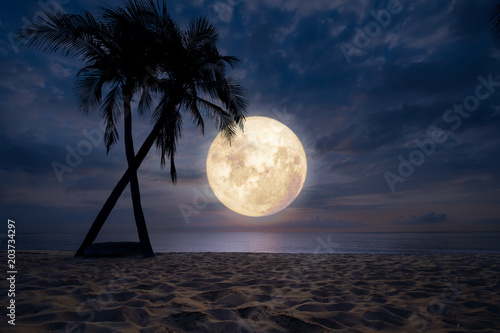 Fototapeta Naklejka Na Ścianę i Meble -  Beautiful fantasy of tropical beach with silhouette palm tree in night sky, full moon - dreamlike wonder nature.