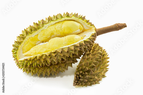 Durian fruit on white background. fruit of Thailand.