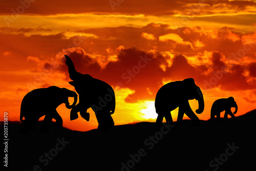 silhouette elephant battle and family herd animals wildlife evacuate walking in twilight sunset beautiful background. with copy space add text