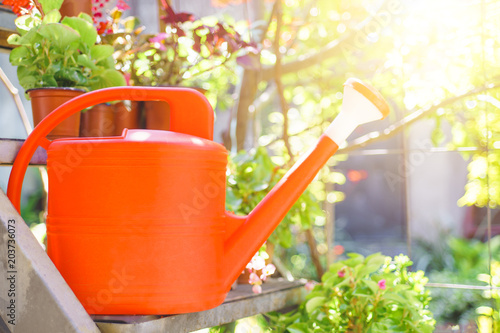 Orange plastic watering can stand on the stairs in the garden under the rays of the sun. Home gardering with copy space for text photo