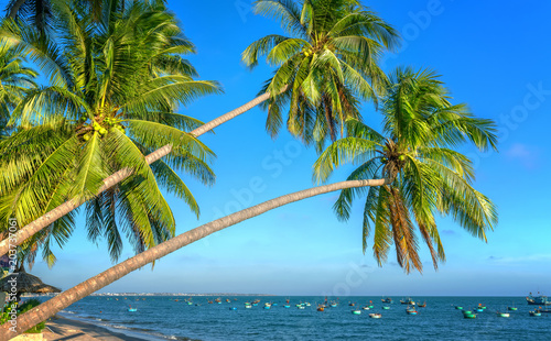 Inclined coconut trees leaning toward the tropical beach on summer afternoon, below are a beautiful boat mooring © huythoai