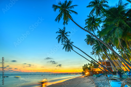 Sunset on the beach with tilted coconut trees, long sandy beaches and beautiful golden sky and romantic for the weekend resort.