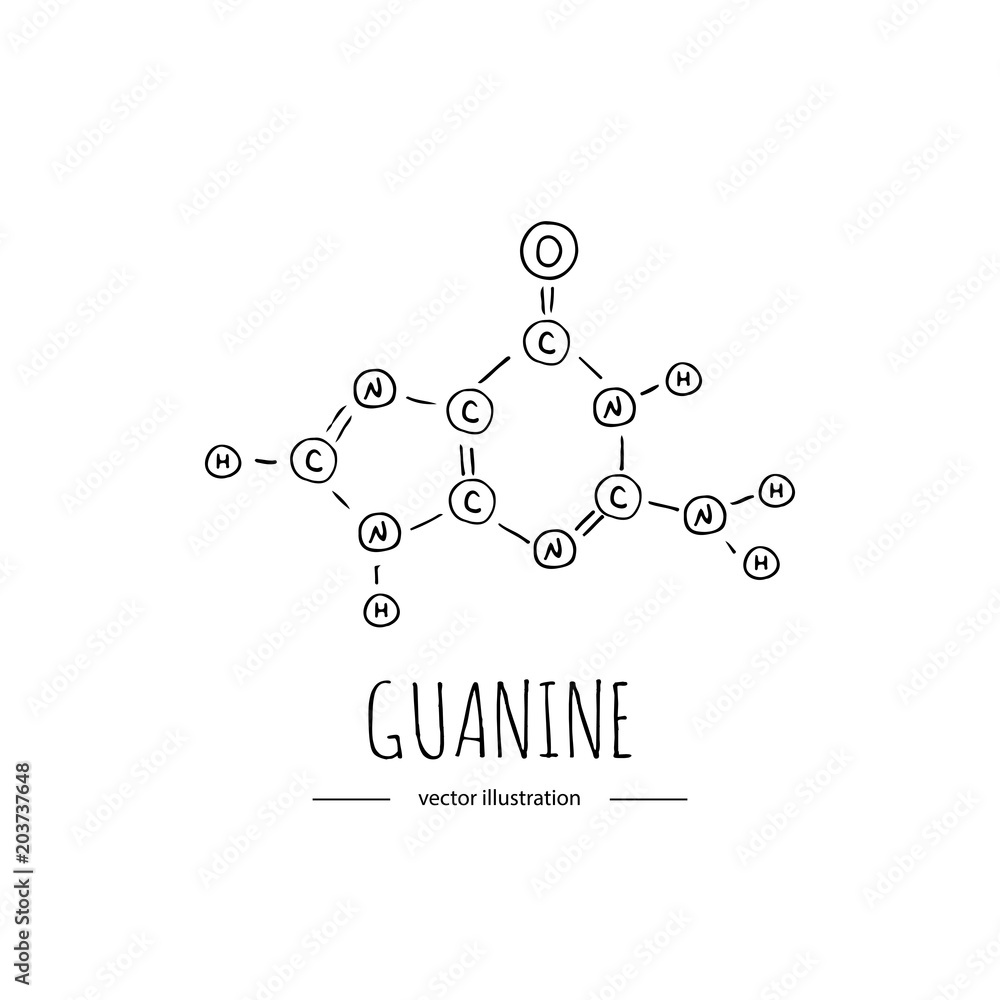 Hand drawn doodle Guanine chemical formula icon Vector illustration ...