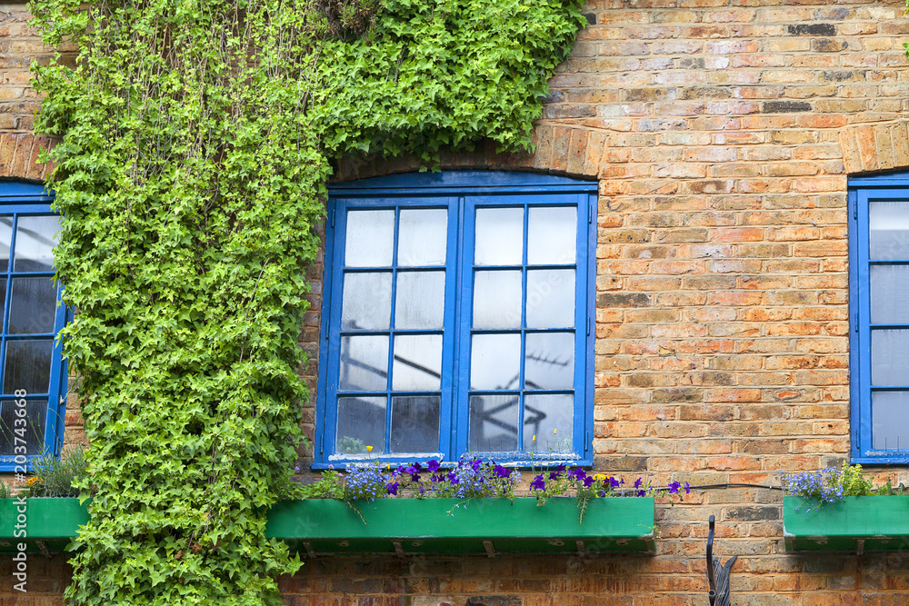 Facade of brick building with climbing ivy on the wall, Neals Yard, London, United Kingdom.