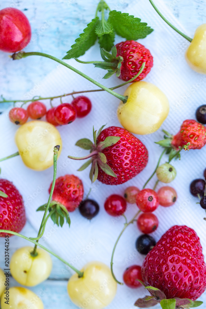 berries on a light background berries on a light background