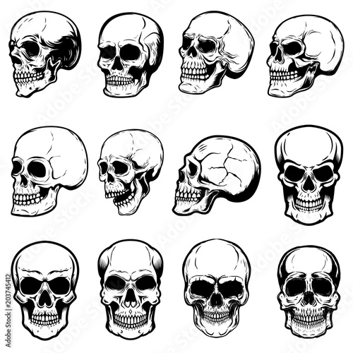 Set of human skull illustrations on white background. Design element for label, emblem, sign,logo, poster.
