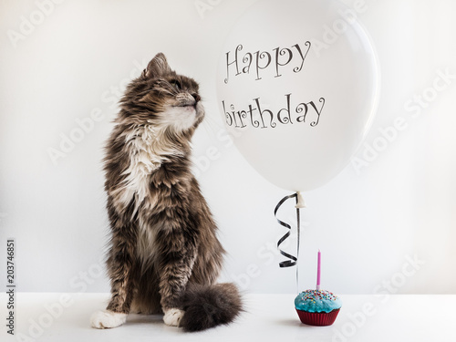 Canvas Print Cute, sweet kitty, white, helium balloon with birthday greetings and cupcake with candle