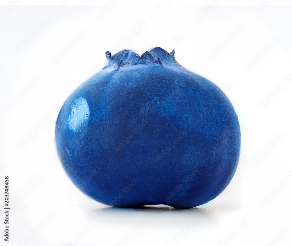Isolated Blueberry. One fresh blueberry isolated on white background, macro studio shot. Isolated Blueberry. One fresh blueberry isolated on white background, macro studio shot.