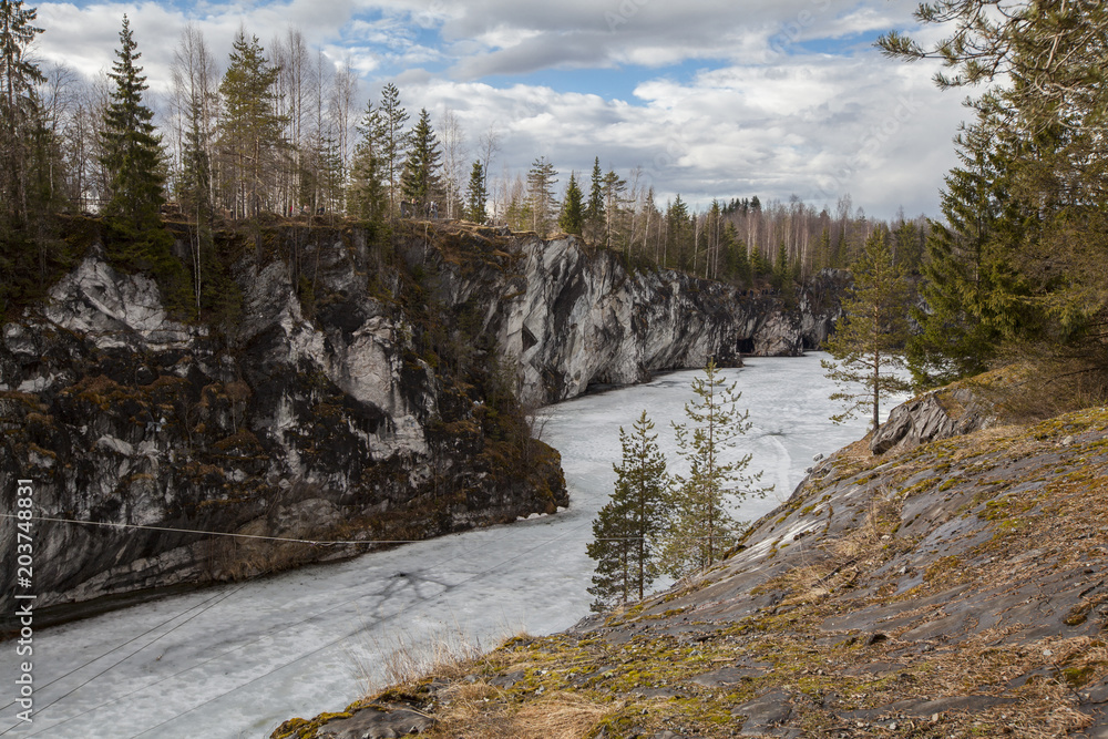 Spring Karelian forest Spring Karelian forest