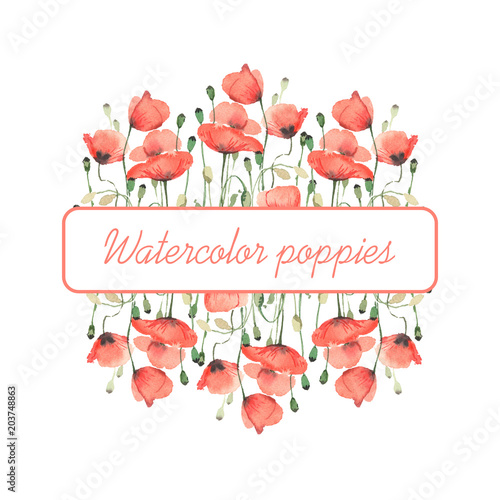 Frame with delicate red poppies on a white background. Watercolor illustration.