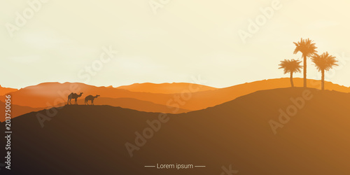 Landscape of the desert with camels and palm trees.
