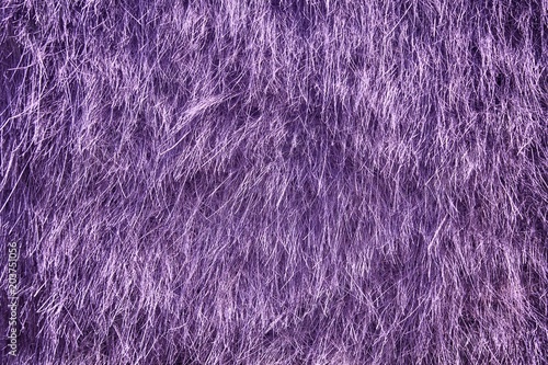Ultra purple Dry straw grass background, hay texture after havest