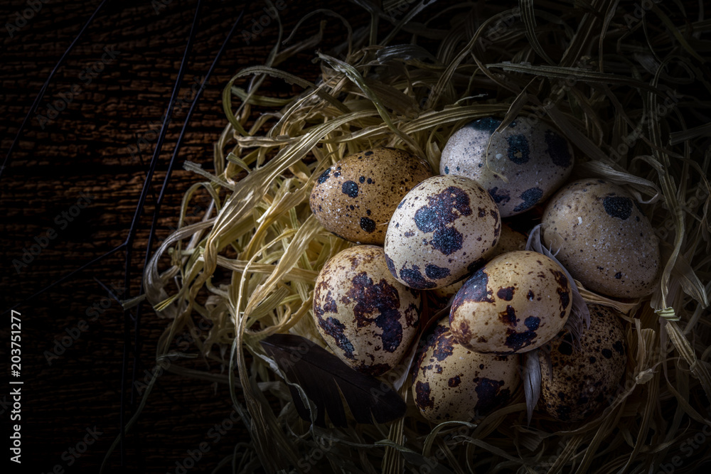 quail bird eggs in nest on rustic wooden background quail bird eggs in nest on rustic wooden background