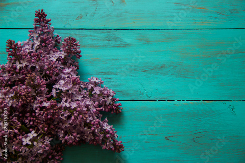 spring lilac on a wooden  turquoise background.