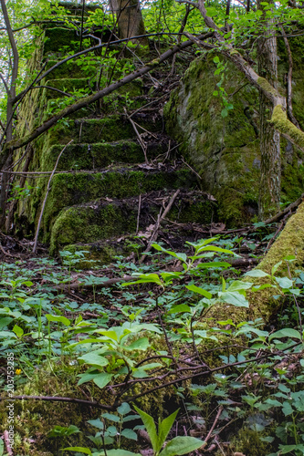 Old stairs in the middle of...