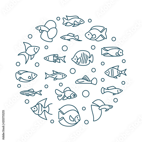 Aquarium fish vector round creative illustration in line style