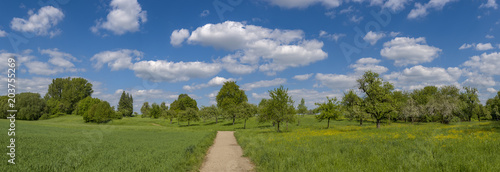 Feldweg mit landwirtschaftlich genutzter Ackerfläche und Streuobstwiese bei schönem Wetter © Frank Wagner