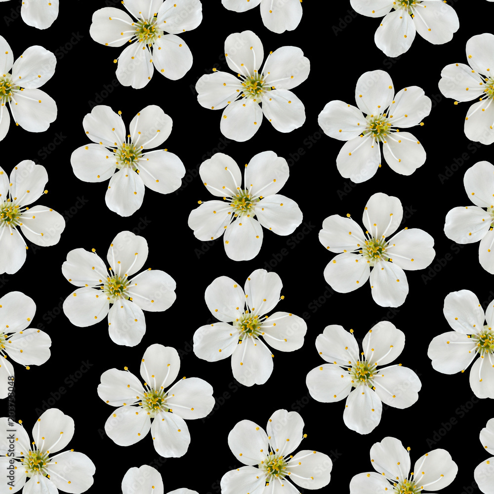 Seamless pattern. White cherry flowers on a black background. Seamless pattern. White cherry flowers on a black background.